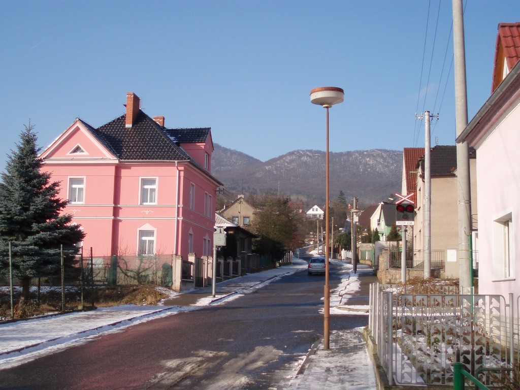P1194968