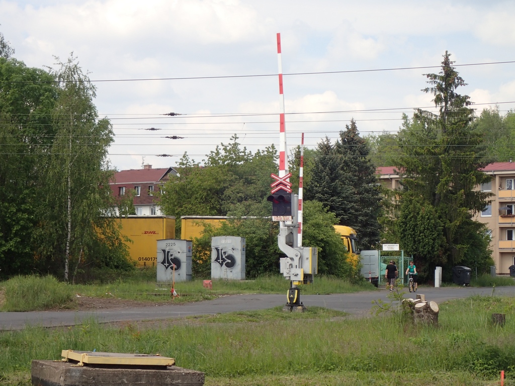 P5190566