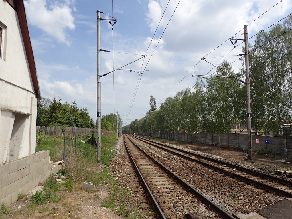 P5190337